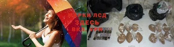 spice Кинешма